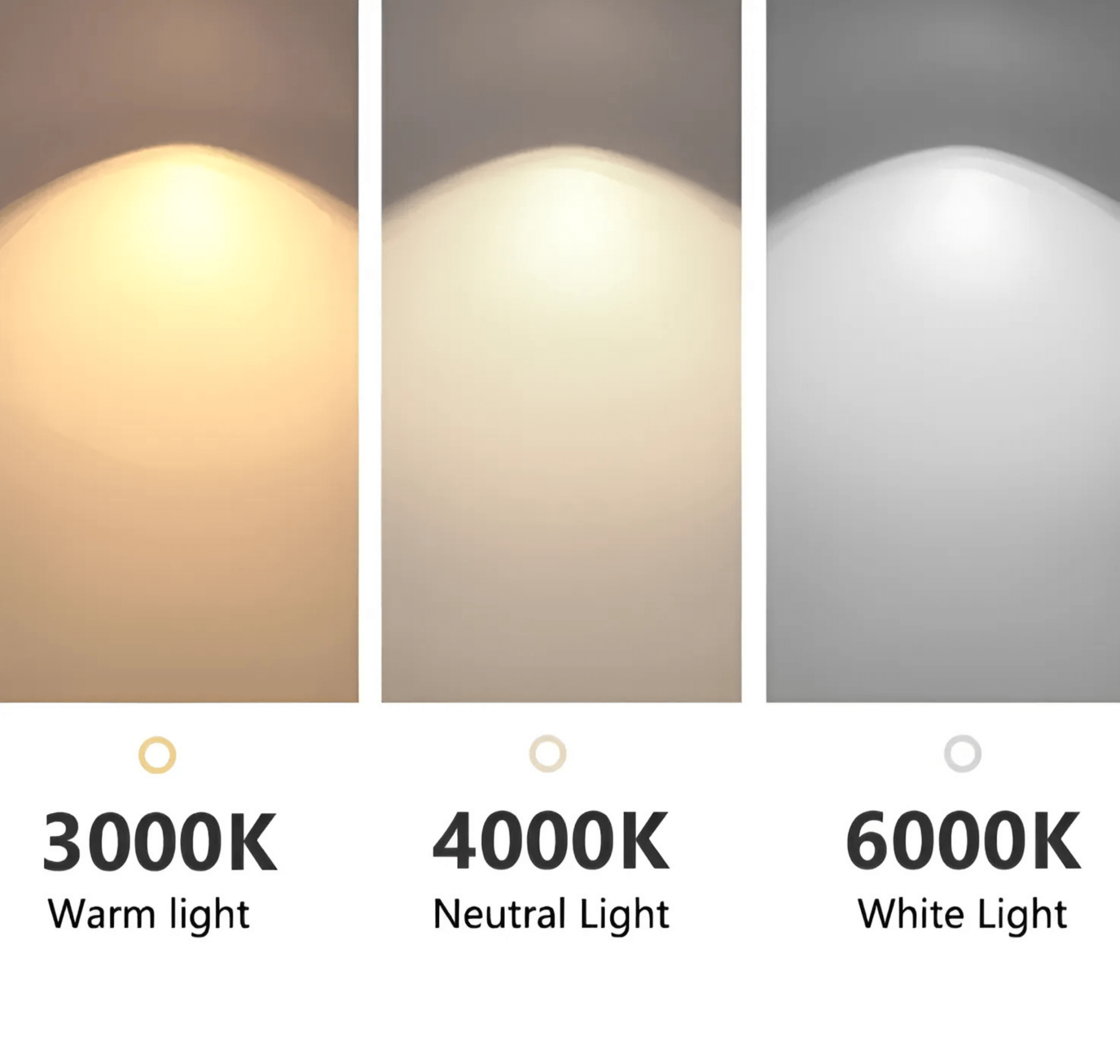 Matrix Collection - Hestia + Co.