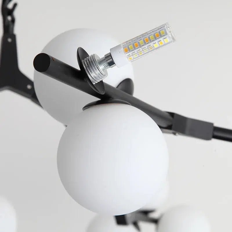 Regent's Park Collection - Hestia + Co.