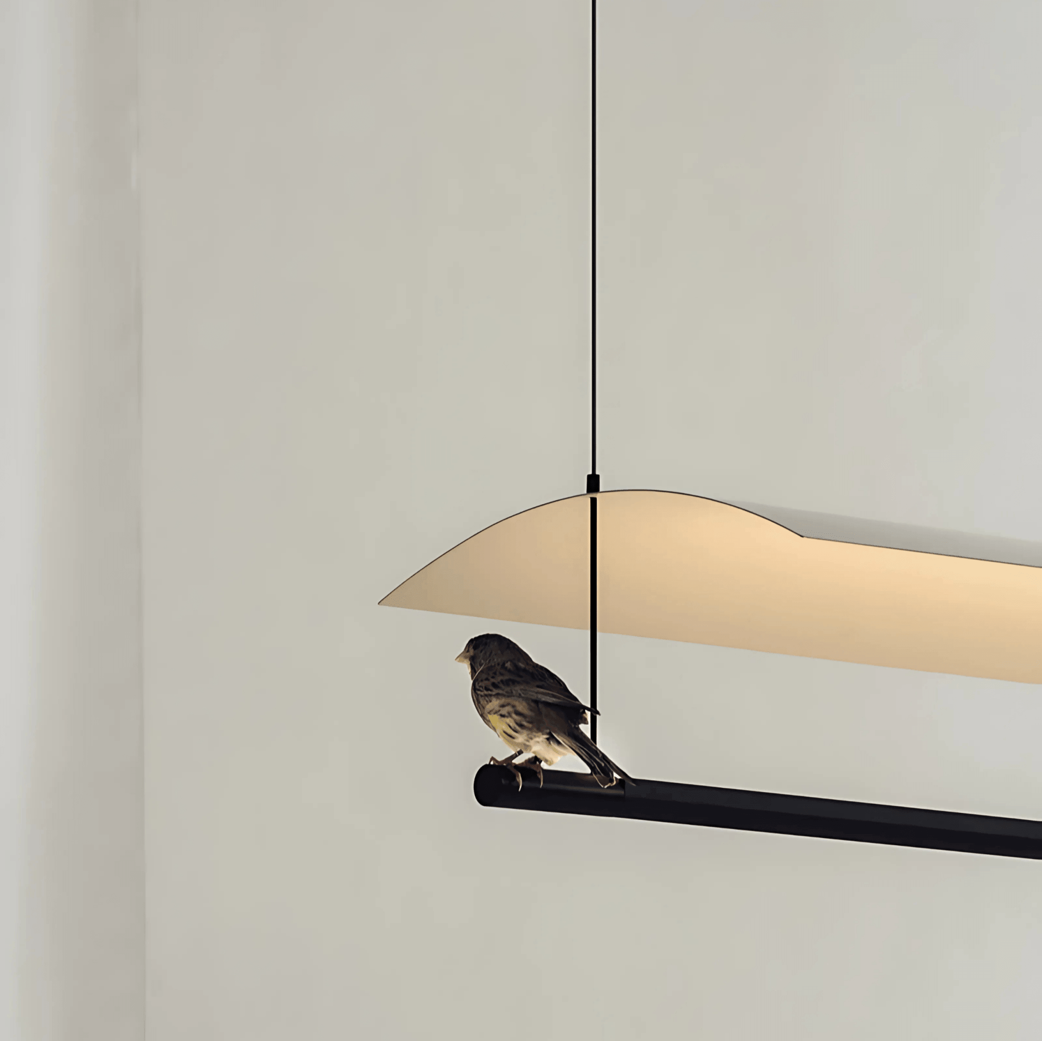 Selene Collection - Hestia + Co.