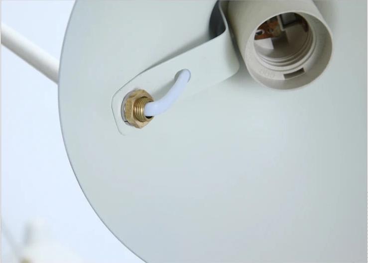 Torrent Collection - Hestia + Co.