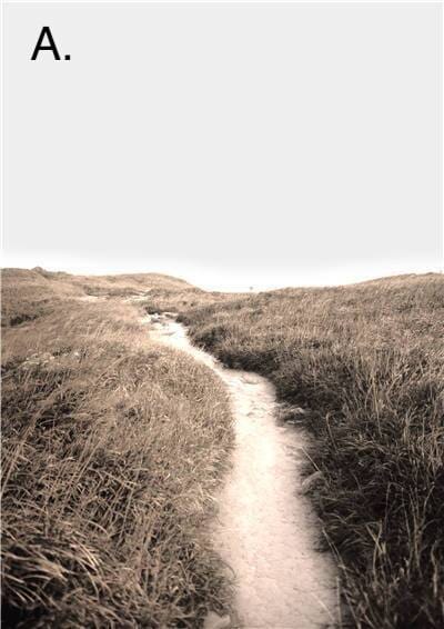 Idyllic Nature Prints - Hestia + Co.