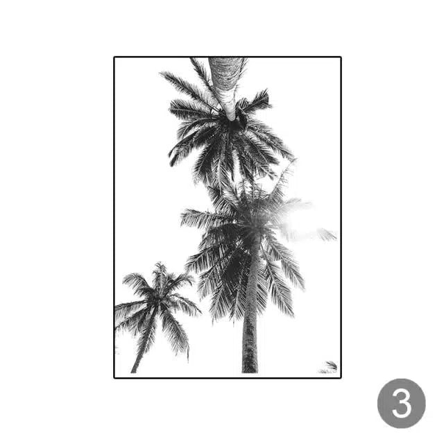 Tropical Black + White Photography Hestia + Co. 20x25cm 3 
